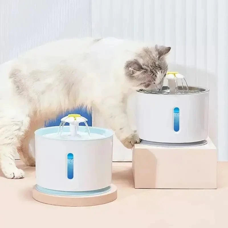Fontaine à eau chat sans bruit