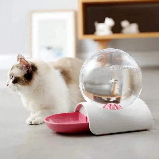 Distributeur d'eau pour chat - Drinkify