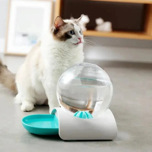 Distributeur d'eau pour chat - Drinkify