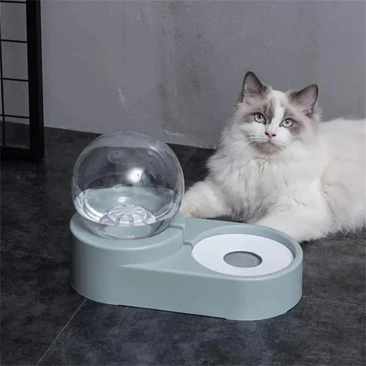 Distributeur eau et nourriture chat