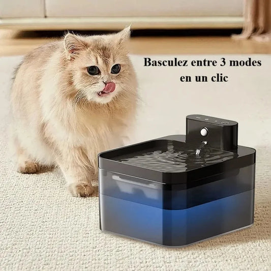 Fontaine à eau automatique pour chat