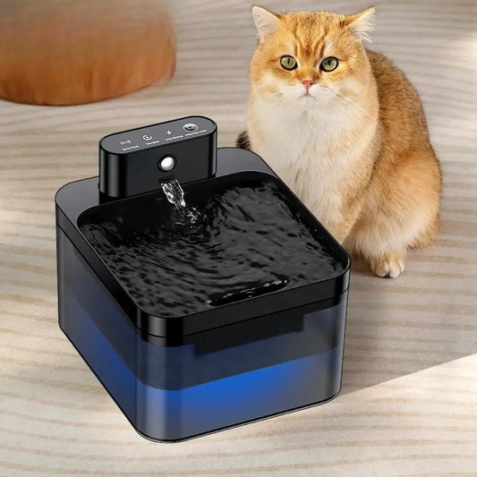 Fontaine à eau automatique pour chat