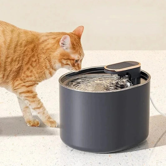 Fontaine à eau chat 3L