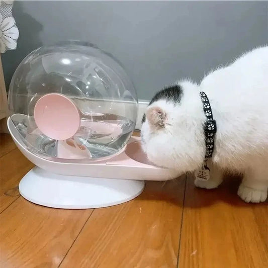 Fontaine à eau chat escargot