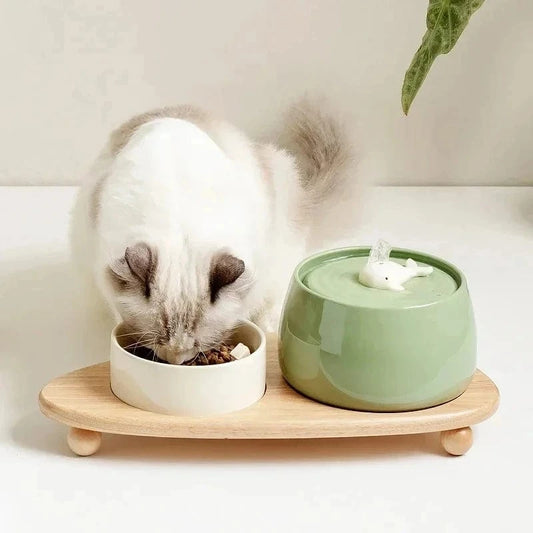 Fontaine à eau pour chat ultra-silencieuse céramique